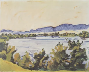 Die Aare bei Solothurn